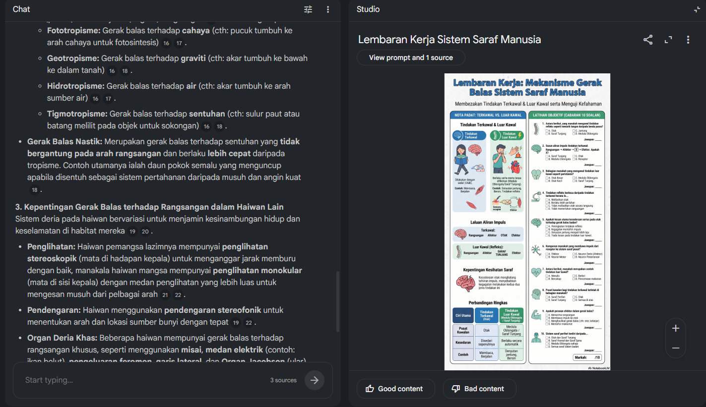 Example worksheet generated by Gemini Notebook using the infographic format